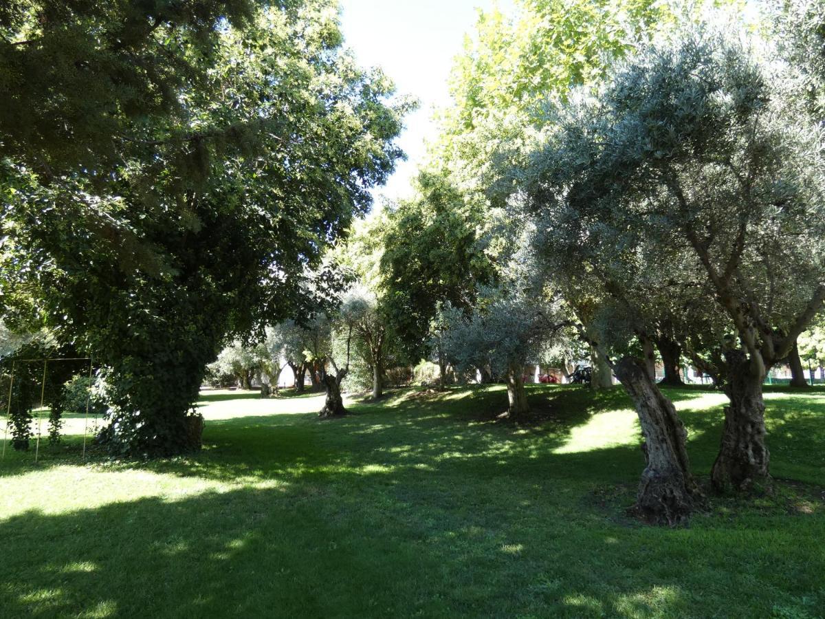 Hotel Los Olivos Getafe Exteriör bild