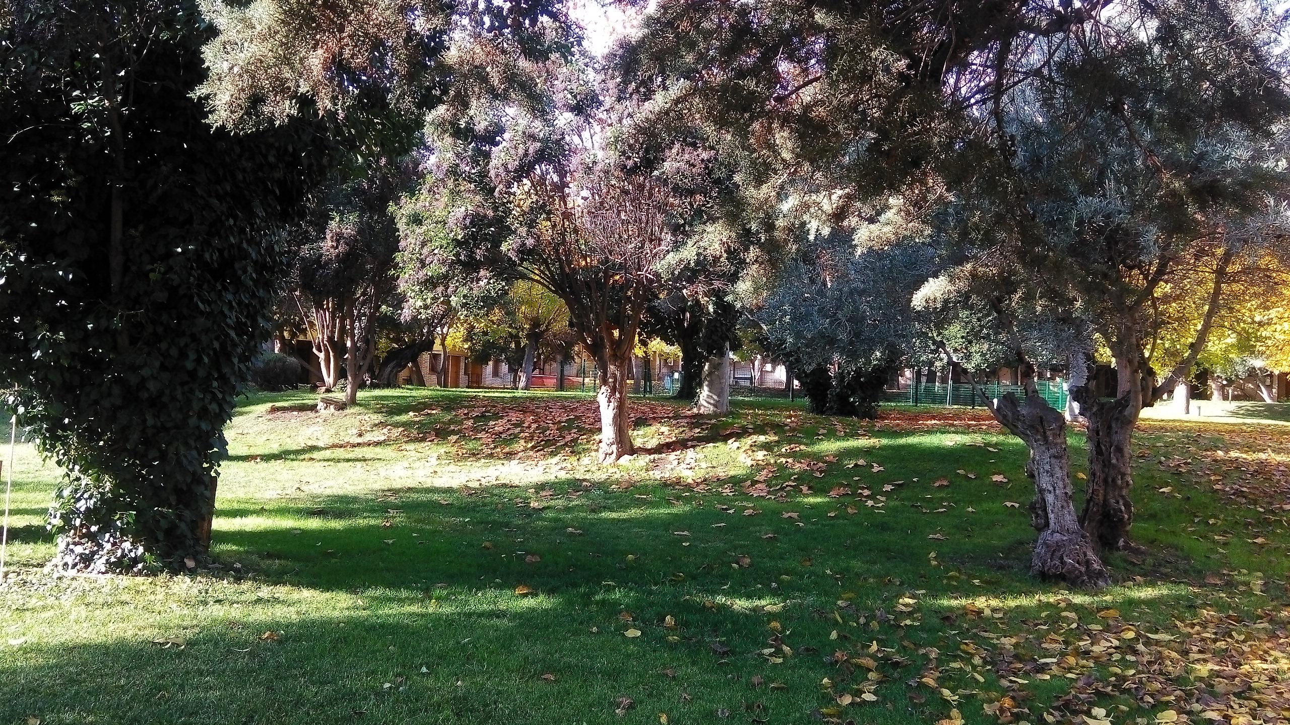 Hotel Los Olivos Getafe Exteriör bild