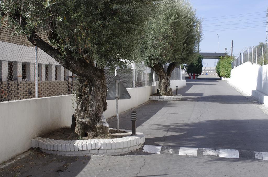Hotel Los Olivos Getafe Exteriör bild
